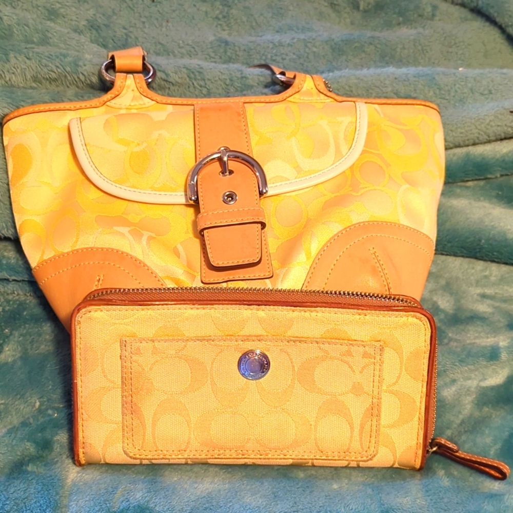 Coach bag with matching zipper wallet